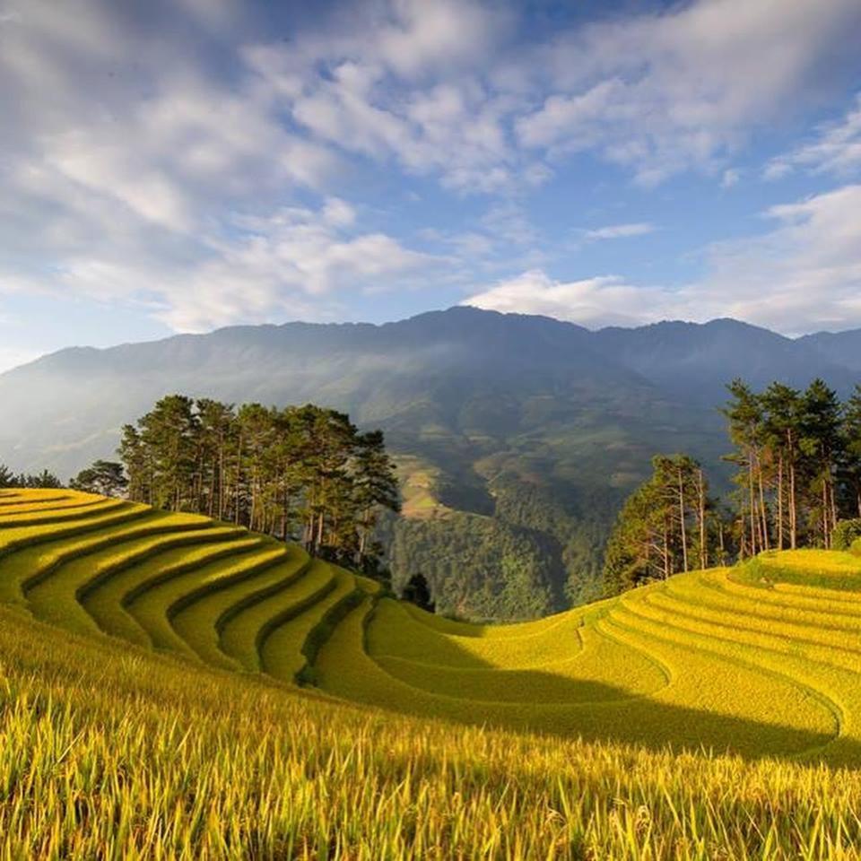 فندق Khach San Sapa Ngay Nay المظهر الخارجي الصورة