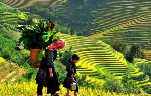 فندق Khach San Sapa Ngay Nay المظهر الخارجي الصورة